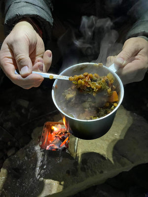 Portable Mini Foldable Wood Burning Survival Stove